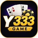 Y333 Game